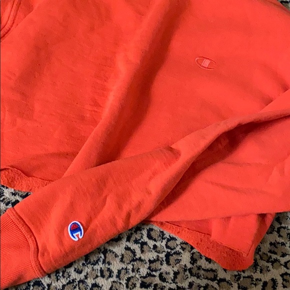 Cropped champion crewneck - Picture 2 of 5